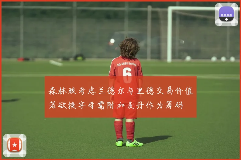 森林狼考虑兰德尔与里德交易价值若欲换字母需附加麦丹作为筹码