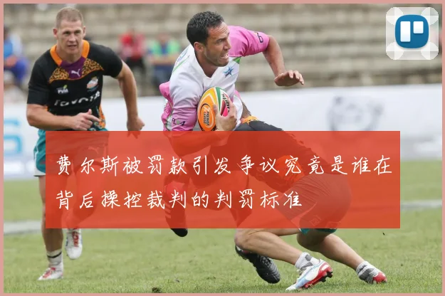费尔斯被罚款引发争议究竟是谁在背后操控裁判的判罚标准